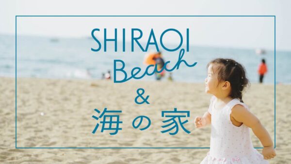 SHIRAOI Beach & 海の家